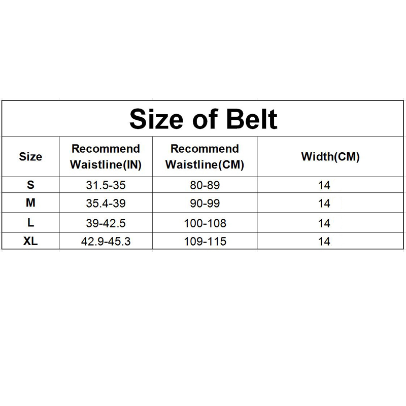 Gym Gürtel Bodybuilding Gürtel – Crossfit Training Gear Bewertung und Preis